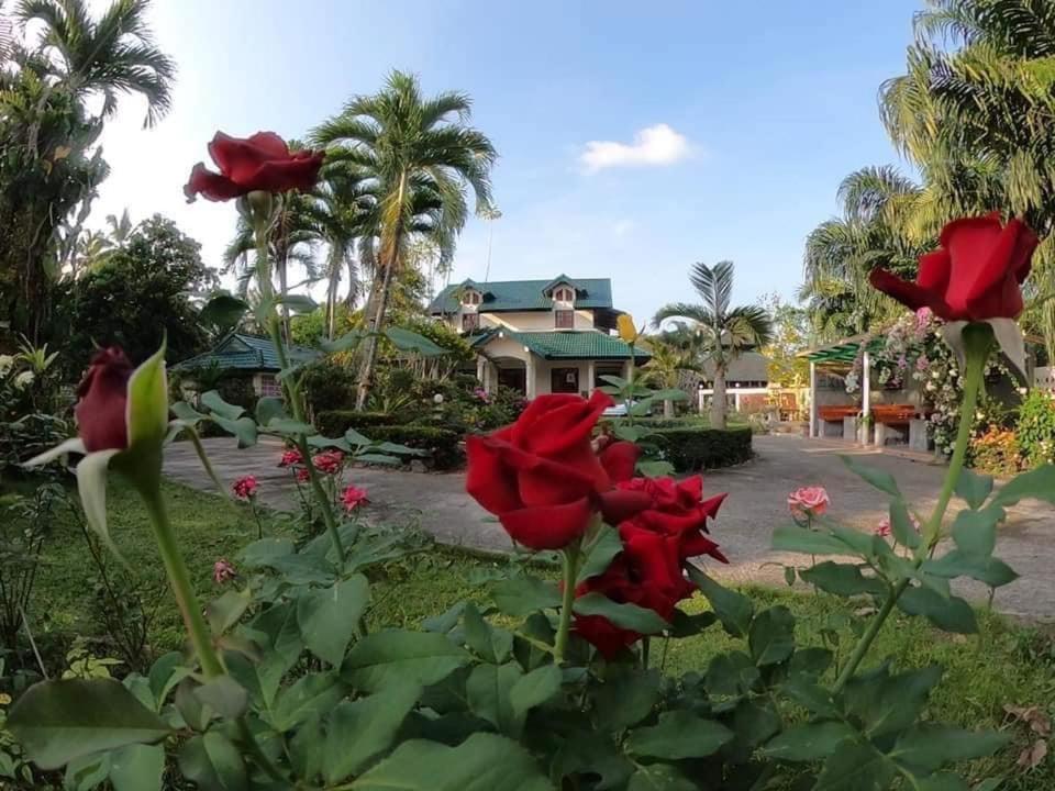 סיצ'ון Ekman Garden Resort מראה חיצוני תמונה